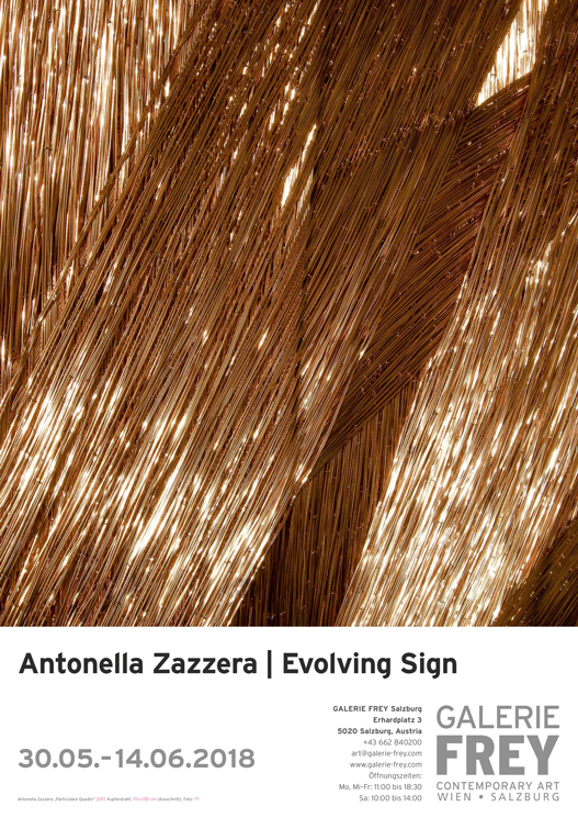 Antonella Zazzera | Evolving Sign